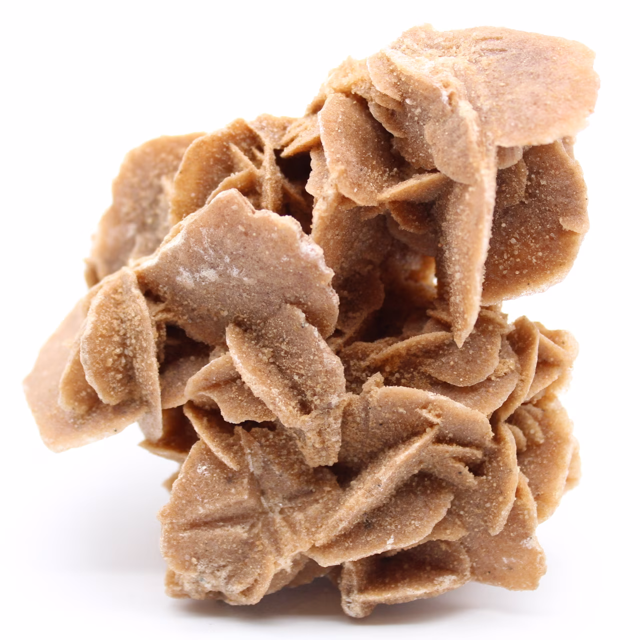 Rose des sables
