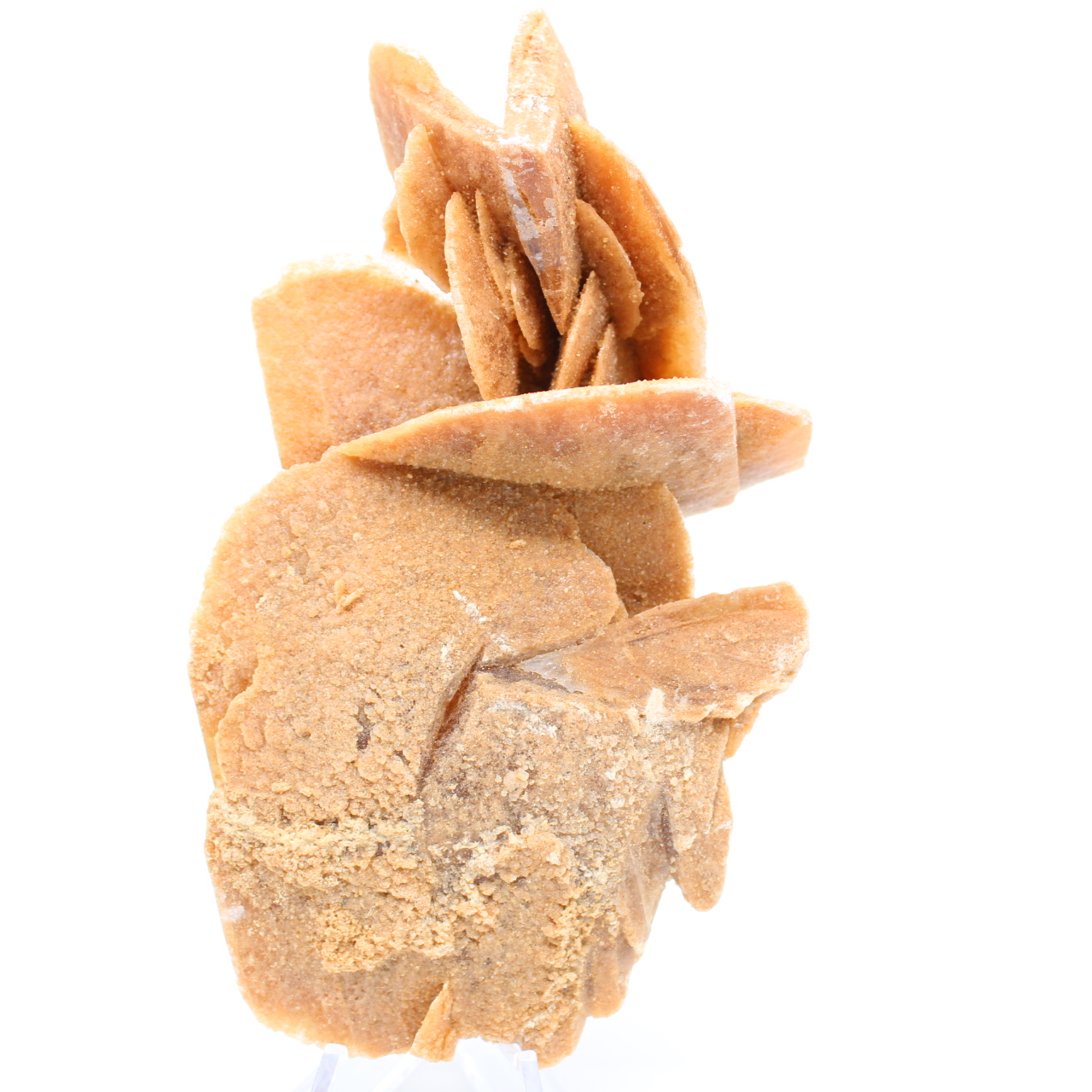 Rose des sables
