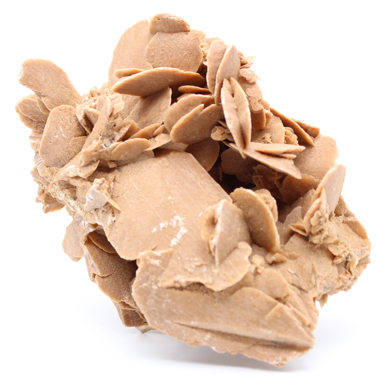 Rose des sables