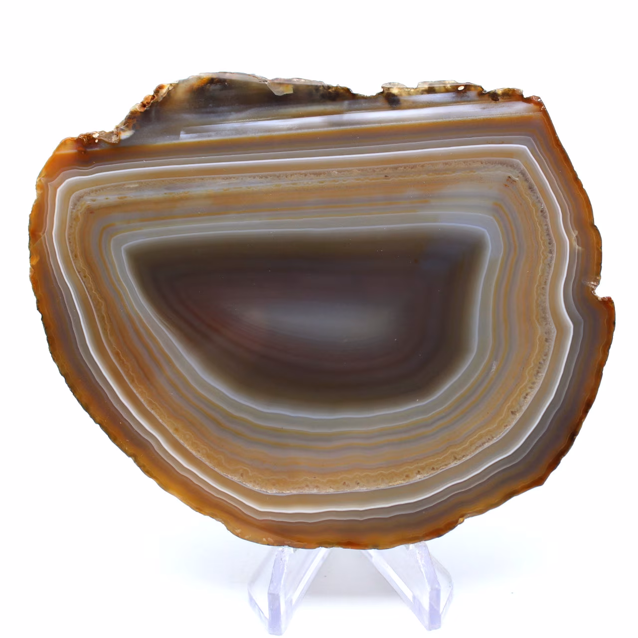 Tranche d’agate