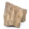 Bloc de bois fossile d’Arizona - 0