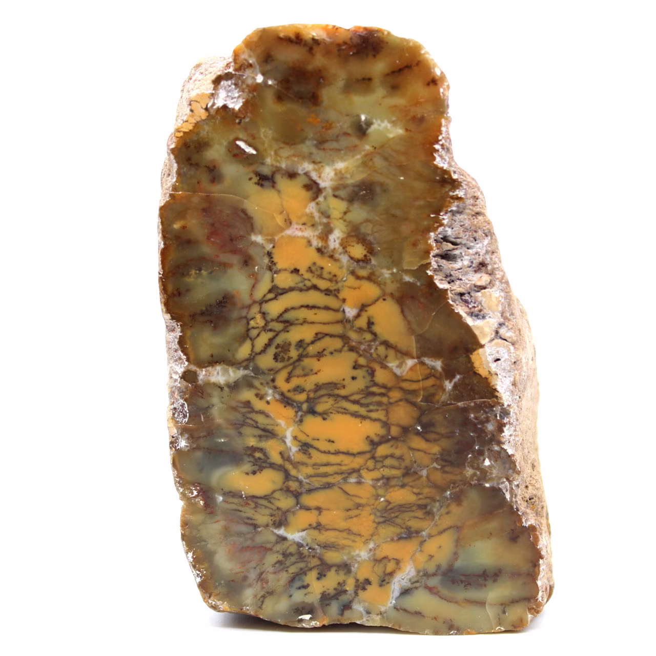 Agate opalisée