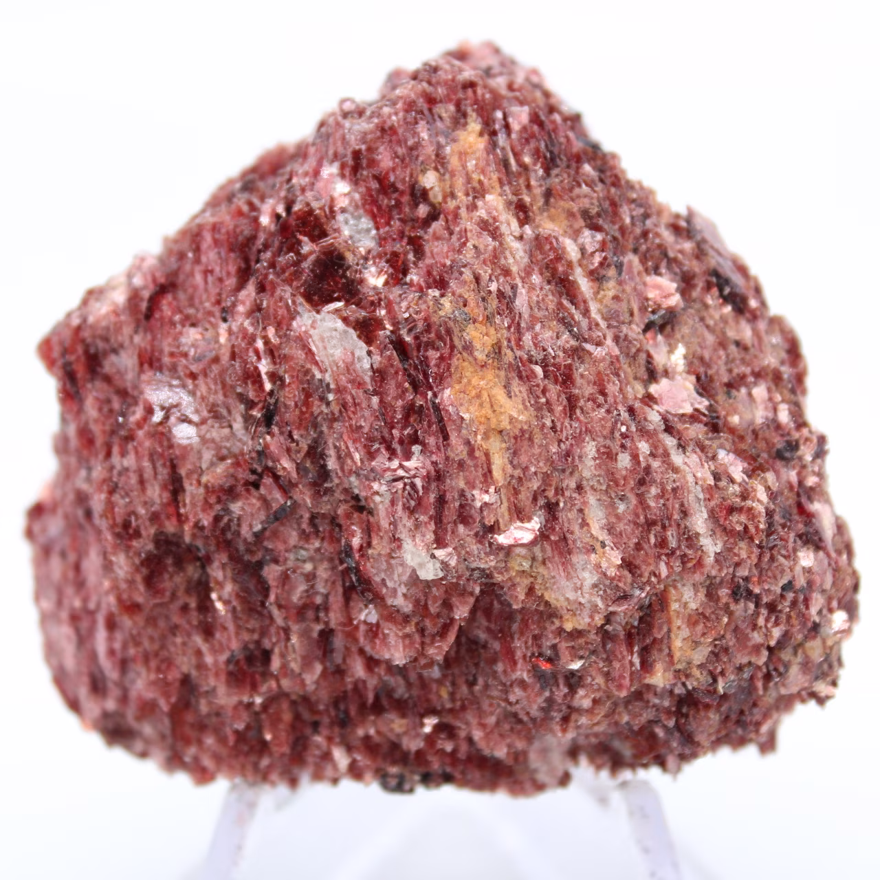 Fushite rouge