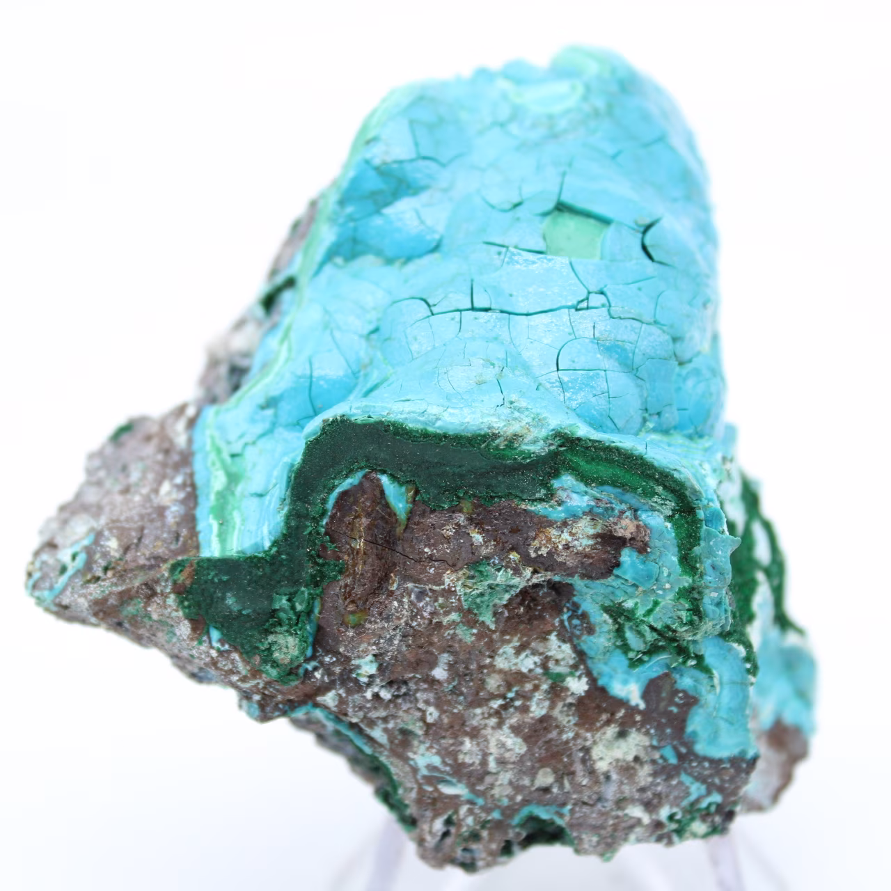 Chrysocolle