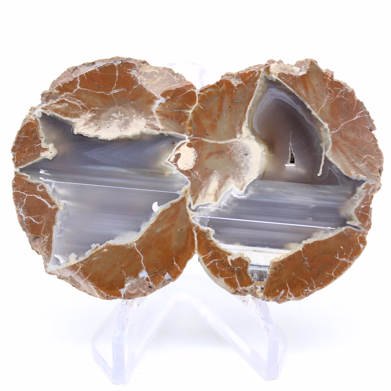 Double thunderegg d’Arizona