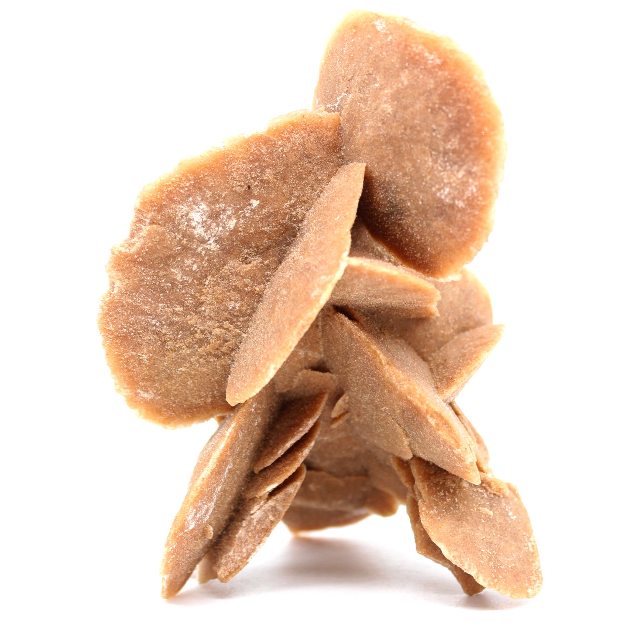 Rose des sables