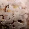 Agate fleur polie de Madagascar - 5