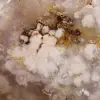 Agate fleur de décoration - 5