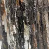 Pierre de Tourmaline noire - 5