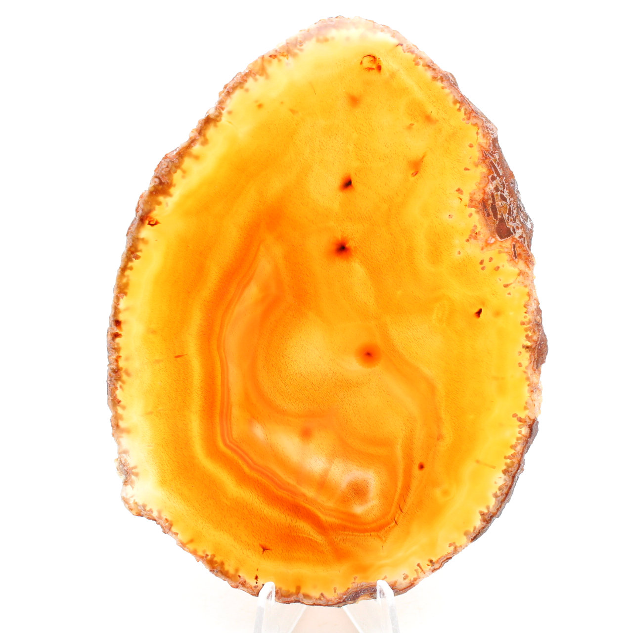 Agate polie du Brésil
