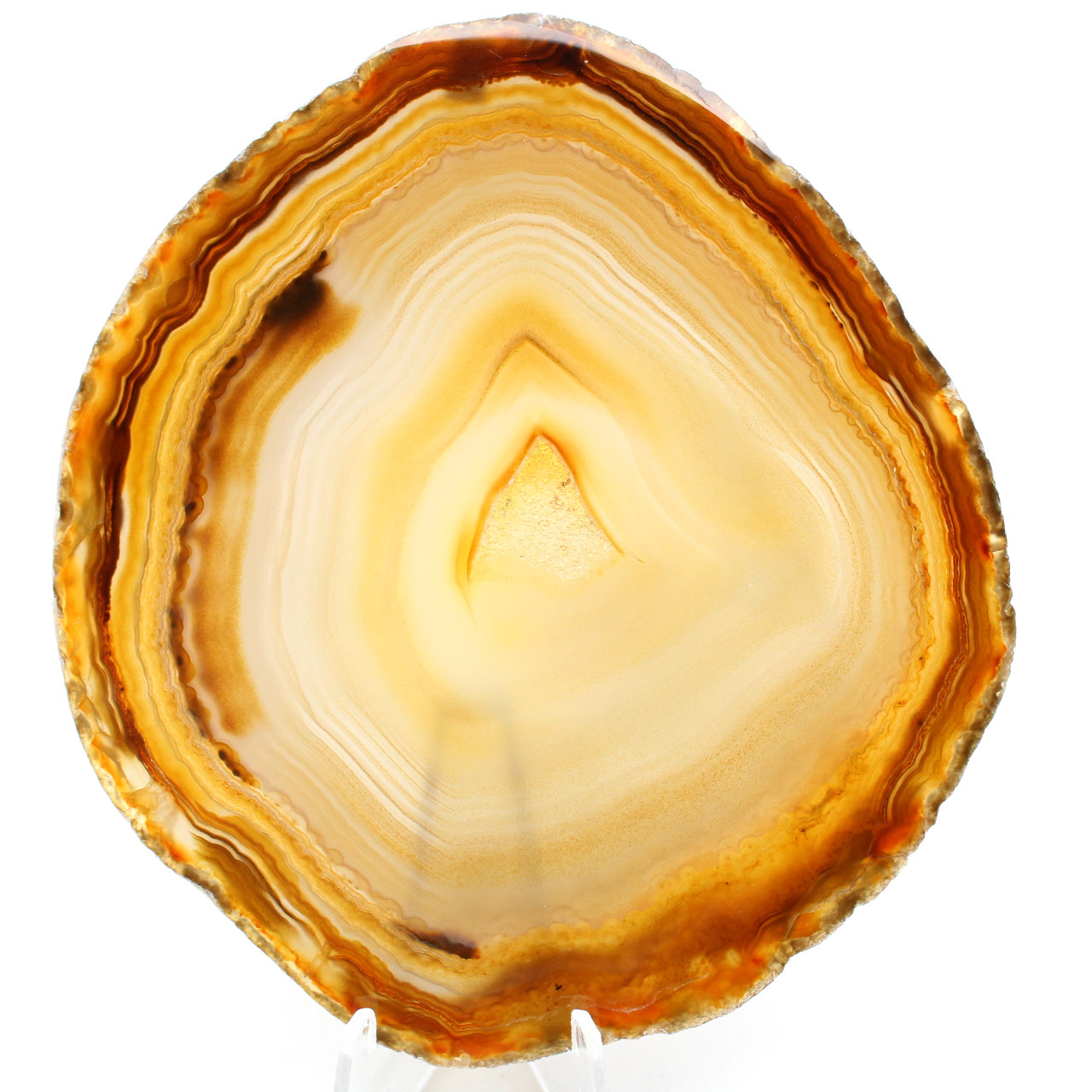 Agate polie du Brésil