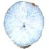 Agate bleue d'ornement - 0