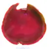 Agate rose du Brésil - 0