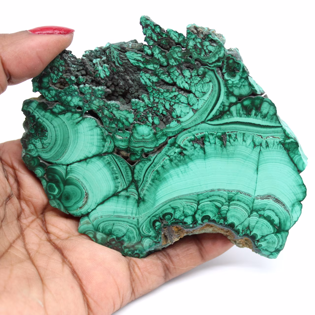 Plaque polie en malachite