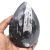 Orthocéras fossilisé - 0