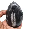 Orthocéras naturel - 0