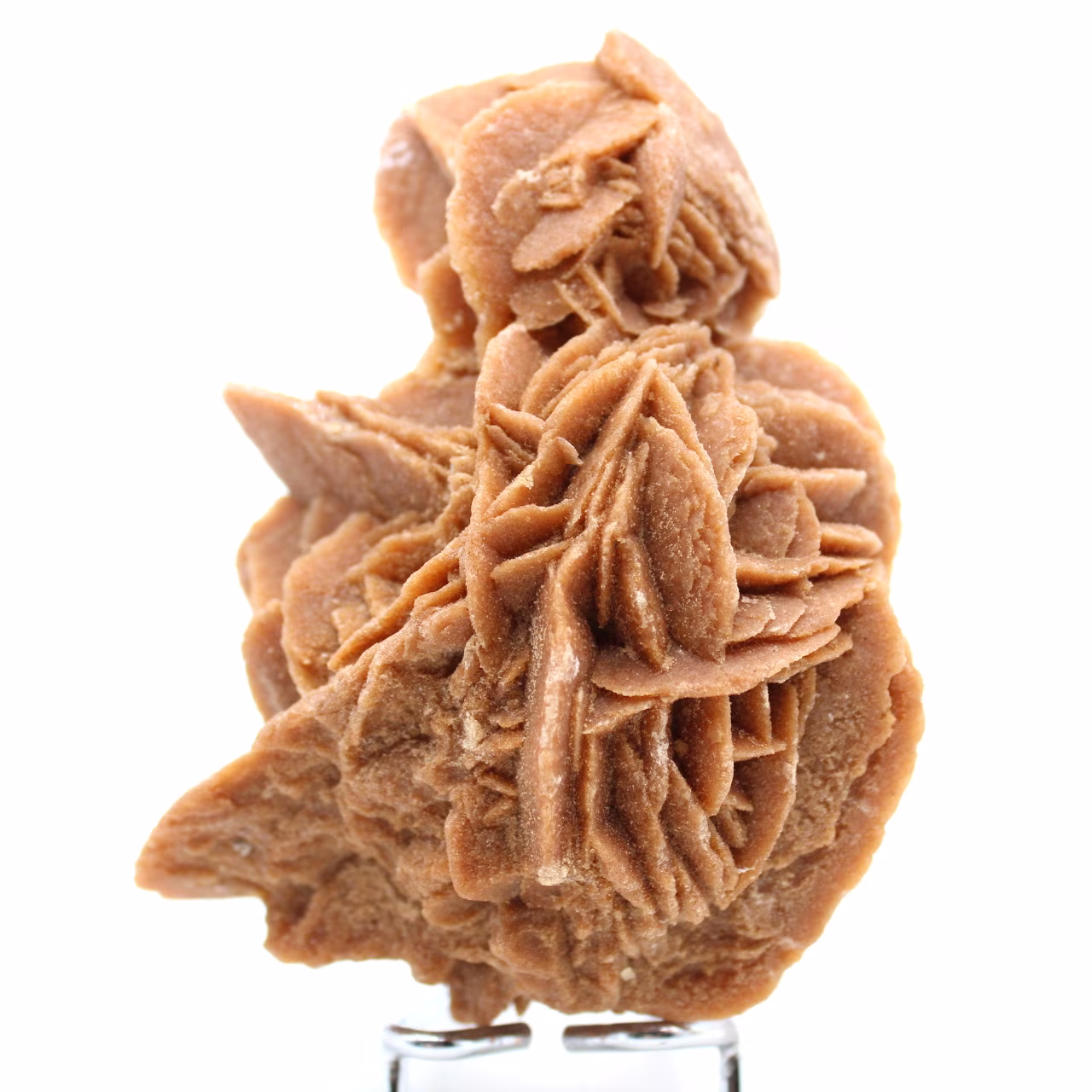 Rose des sables naturelle