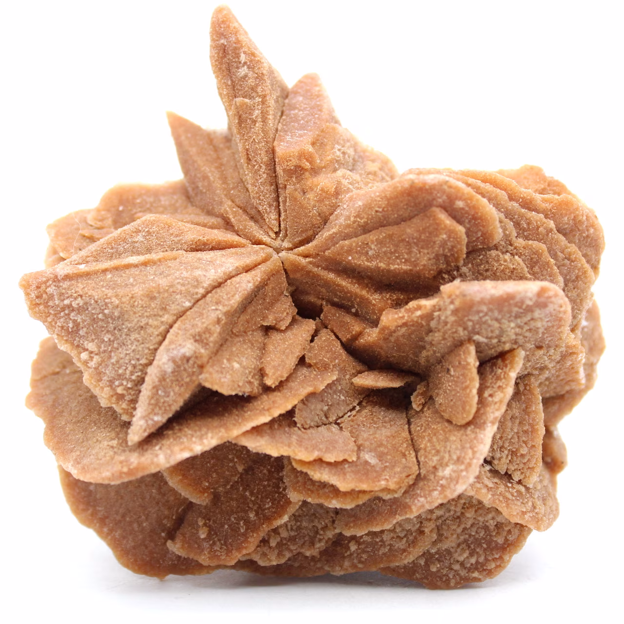 Rose des sables