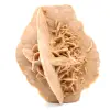 Rose des sables naturelle brut - 0