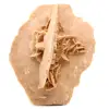 Rose des sables naturelle brut - 3