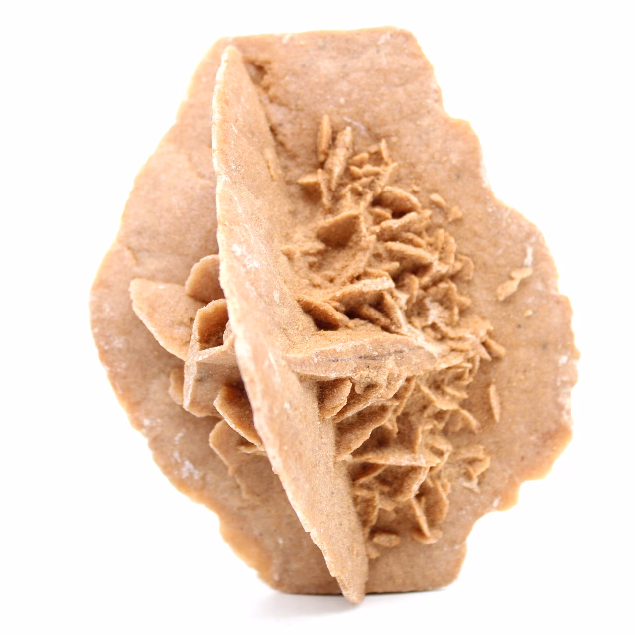 Rose des sables naturelle brut