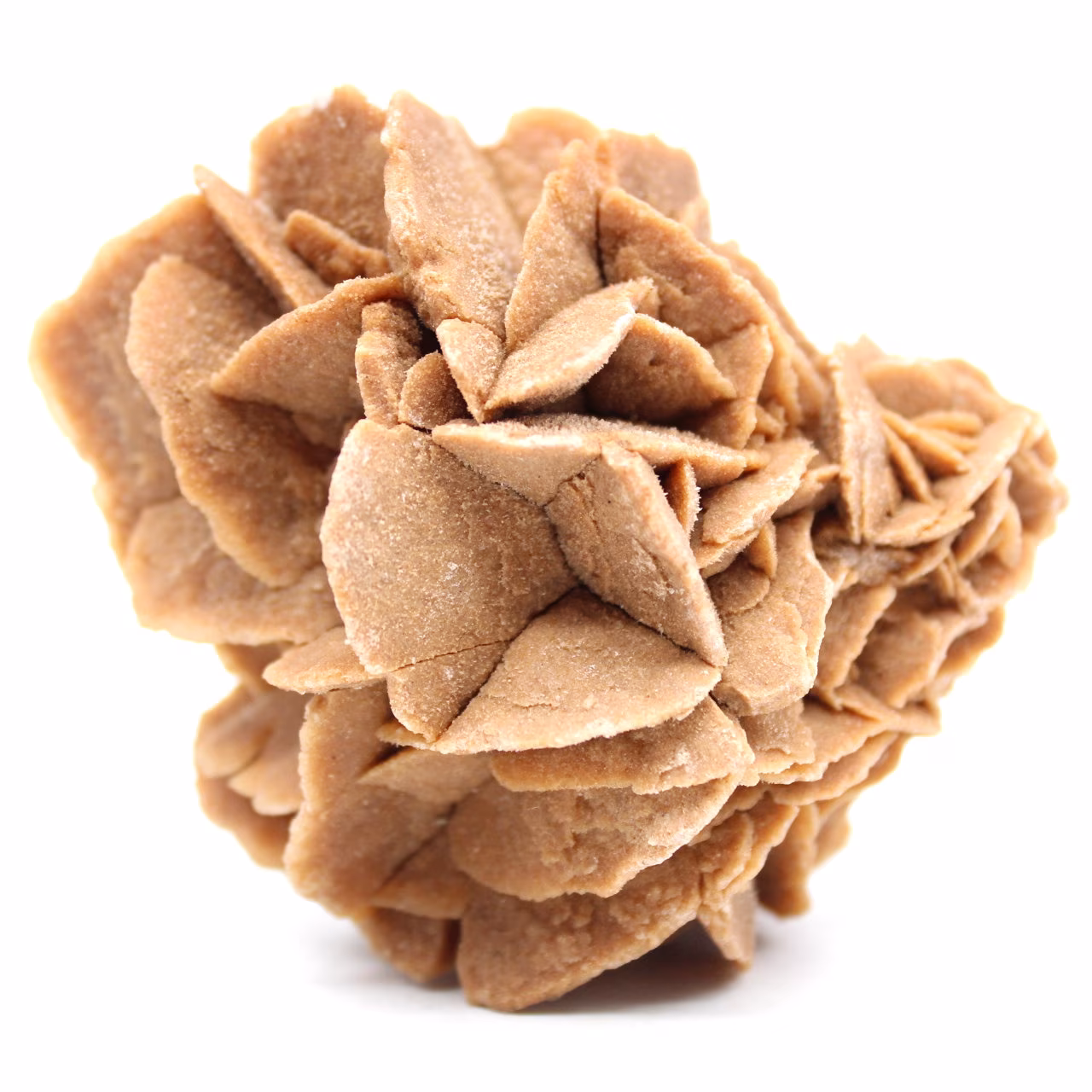 Rose des sables