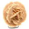 Rose des sables naturelle - 0