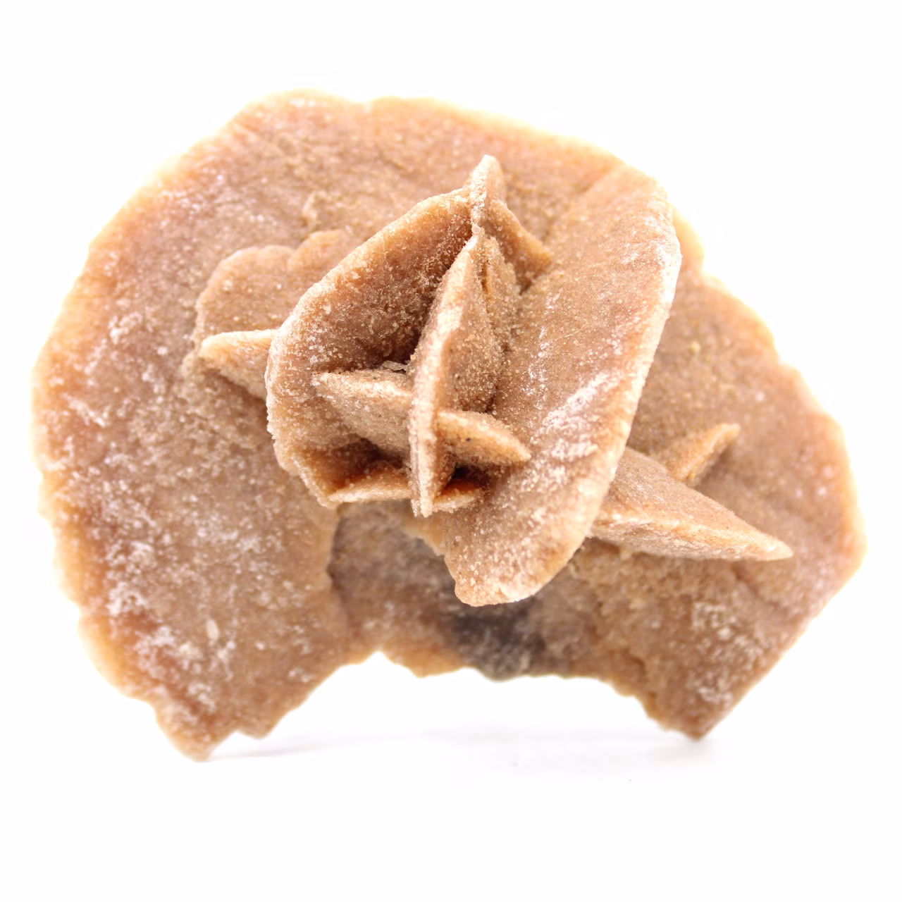 Rose des sables brut
