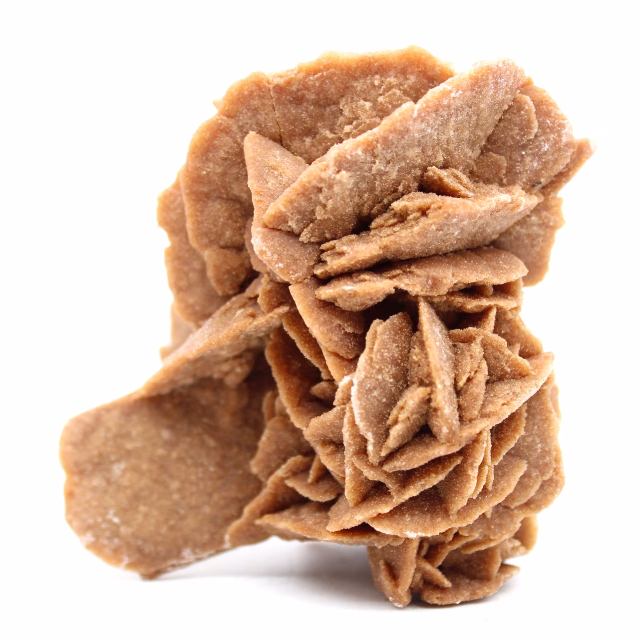 Rose des sables