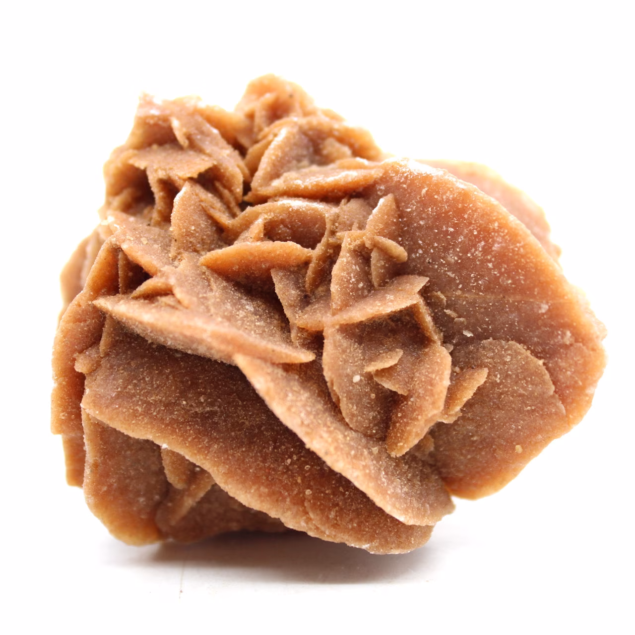 Rose des sables brut
