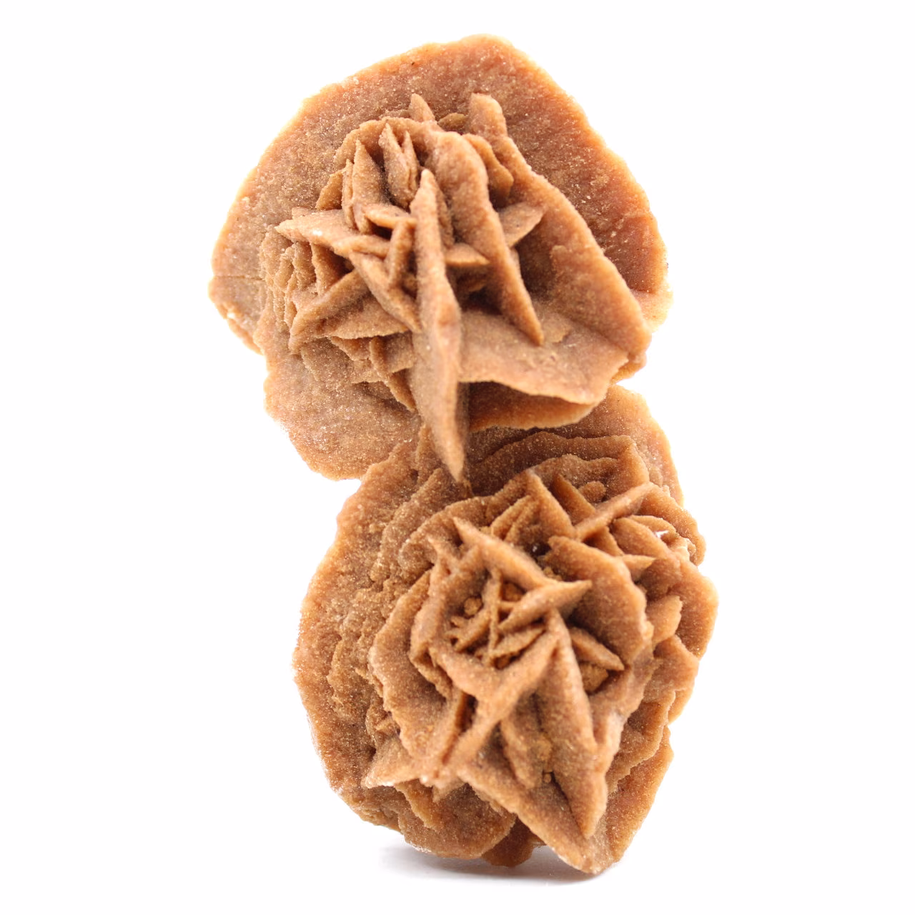 Rose des sables naturelle brut
