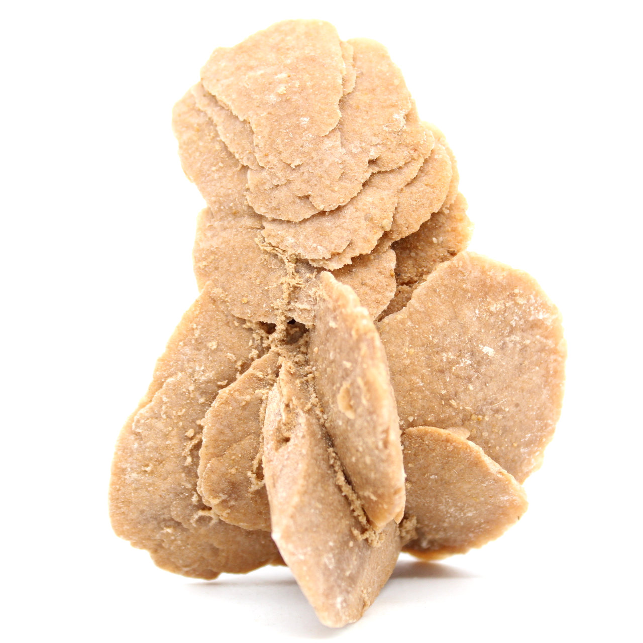 Rose des sables naturelle brut