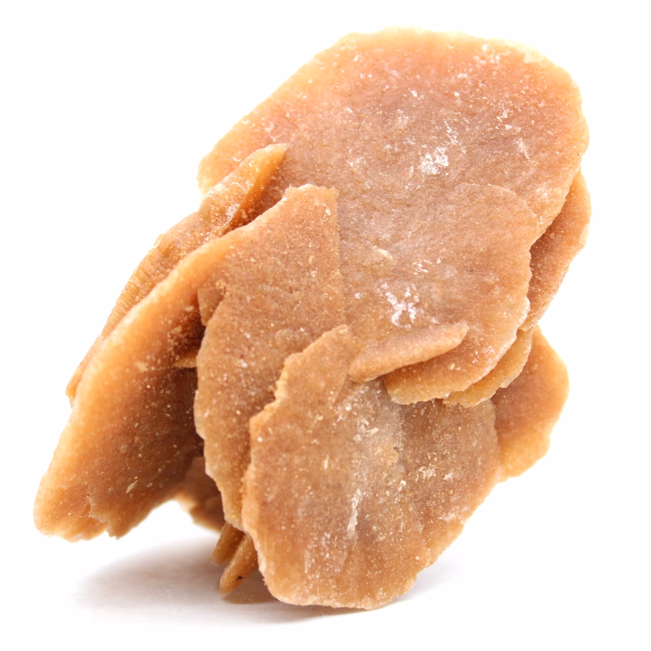 Rose des sables naturelle