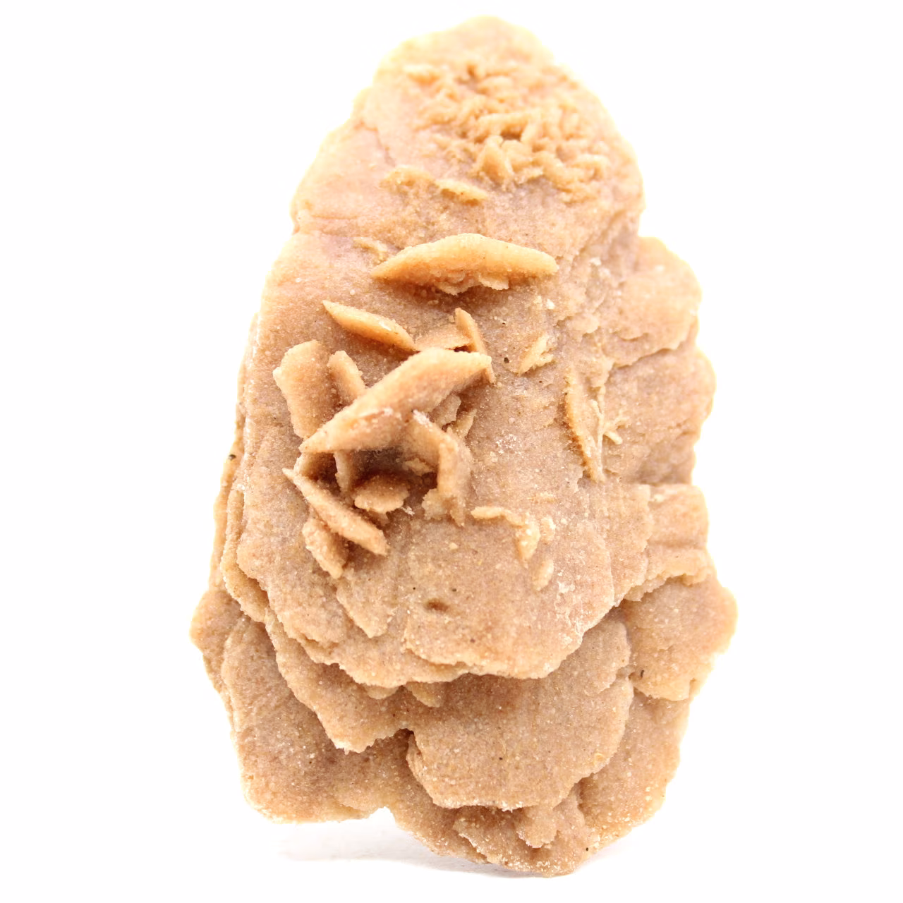 Rose des sables