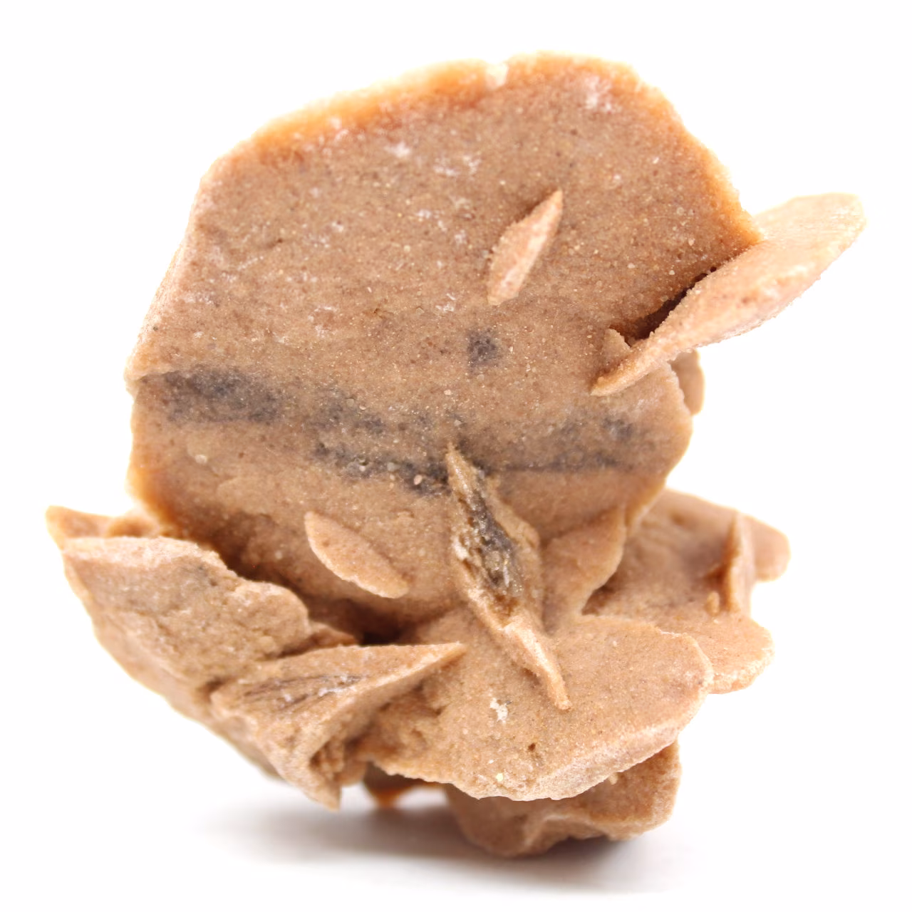 Rose des sables
