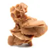 Rose des sables - 0