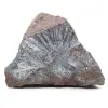 Pierre de pyrolusite brut - 0