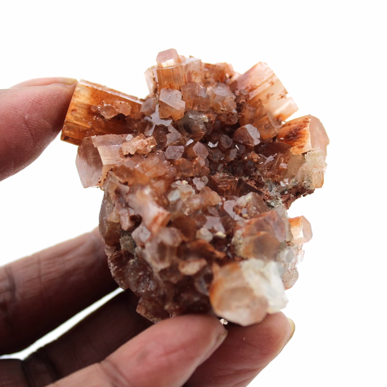 Aragonite cristallisée brut