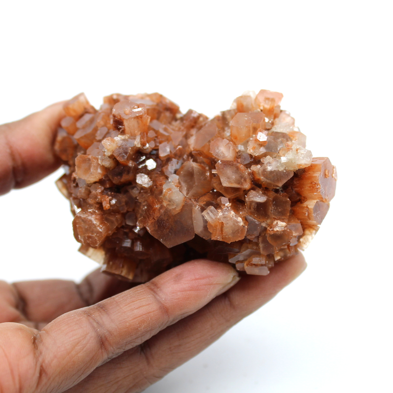 Roche d'aragonite brut