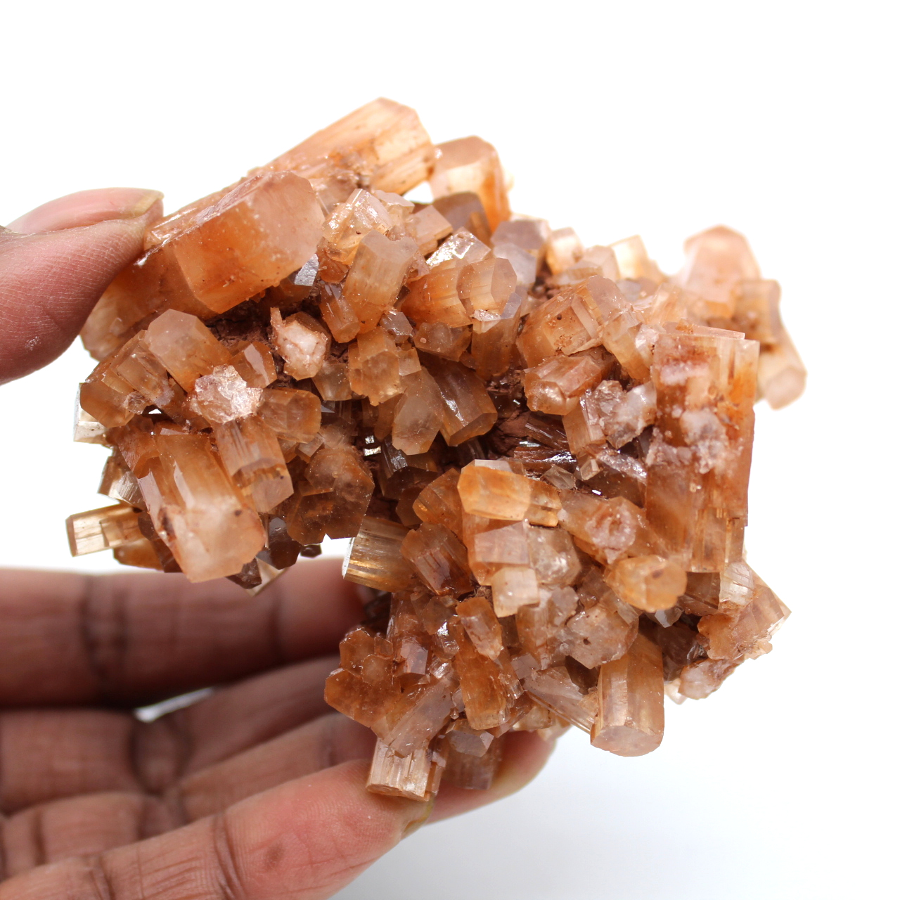 Roche d'aragonite