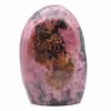 Roche en Rhodonite