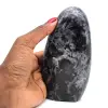 Roche en gabbro indigo naturel - 1