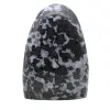 Gabbro indigo ornemental naturel - 0