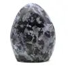 Gabbro indigo d'ornement - 0