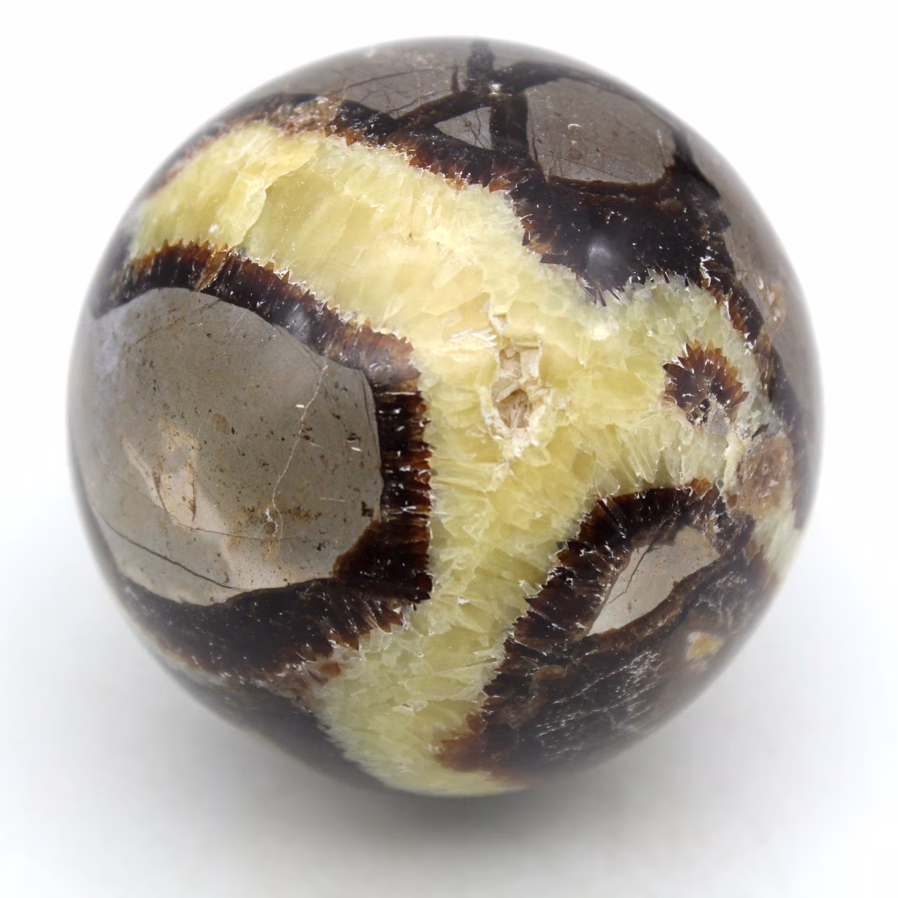Sphère en septaria