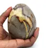 Oeuf minéral en septaria - 0