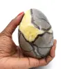 Oeuf minéral en septaria - 0