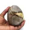 Oeuf minéral en septaria - 0