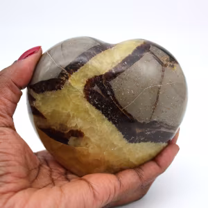Coeur en septaria