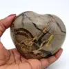 Coeur en septaria - 0